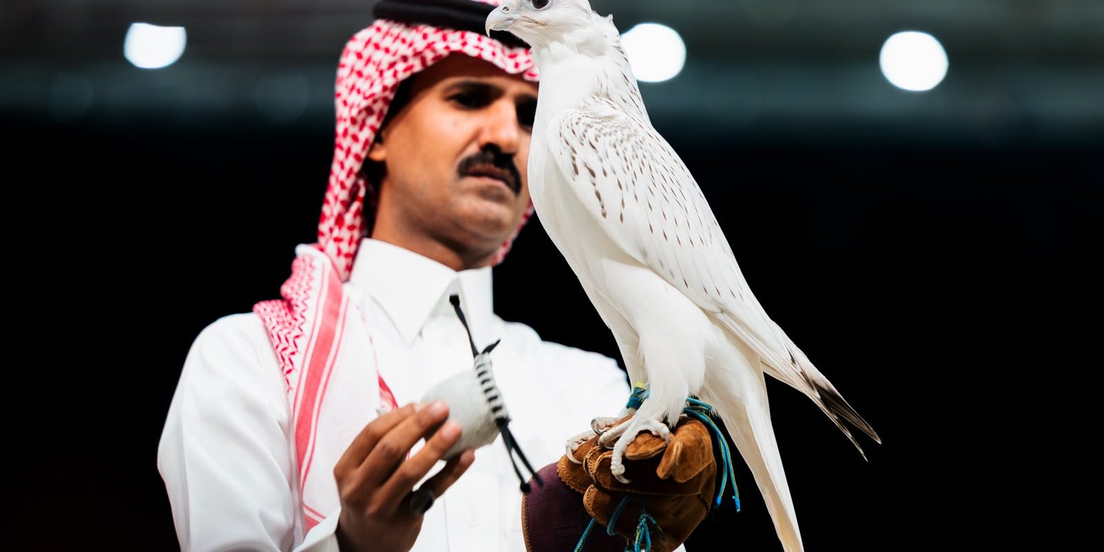 Falcon Sells for 1.3 Million Riyals at Riyadh Auction